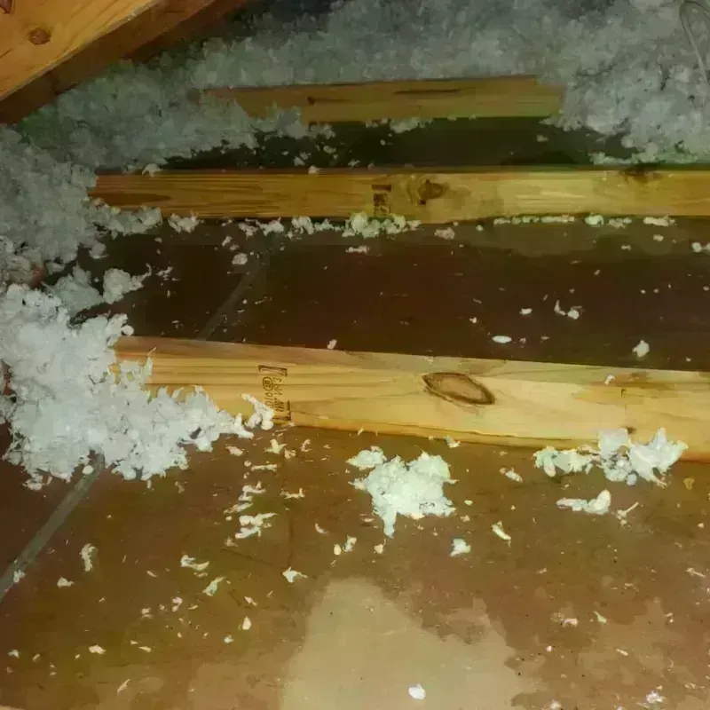 Attic Water Damage in Trujillo Alto, PR